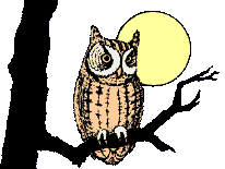 Oswald  Owl