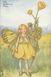 Buttercup Fairy